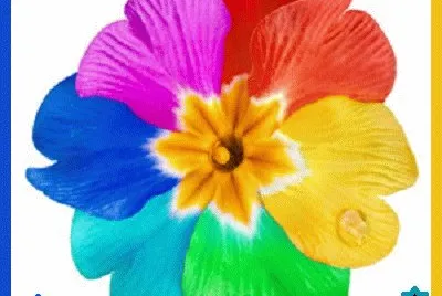 lily6 jigsaw puzzle