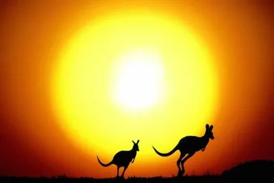 El-salto-de-canguro-Australia.jpg