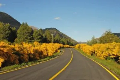 imagens jigsaw puzzle