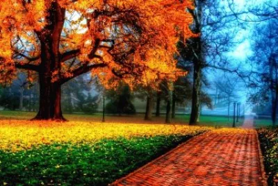 paisaje otoÃ±al jigsaw puzzle