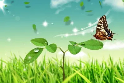 Mariposa-Mundo-.jpg jigsaw puzzle