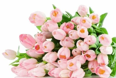 flowers jigsaw puzzle