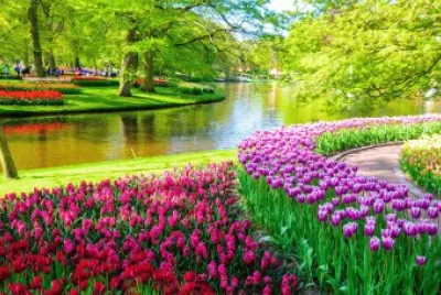 flowers jigsaw puzzle