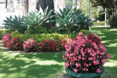 flores jigsaw puzzle