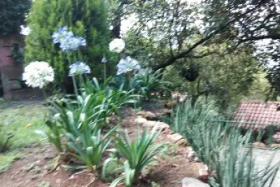 jardÃ­n jigsaw puzzle