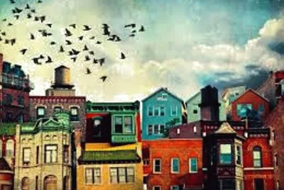 birds over the city