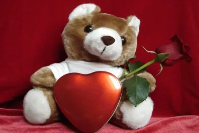 Fotografico-Osito Enamorado.jpg