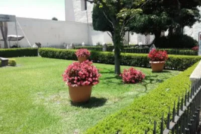 macetas jigsaw puzzle