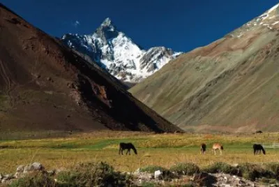 imagens jigsaw puzzle