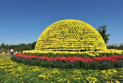 imagens jigsaw puzzle