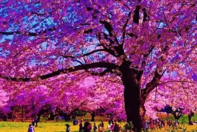 imagens jigsaw puzzle