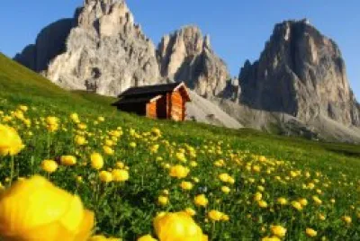 paesaggio jigsaw puzzle