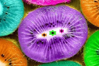 lily6 jigsaw puzzle