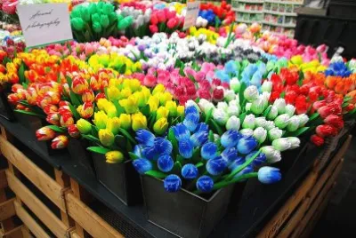 tulip jigsaw puzzle