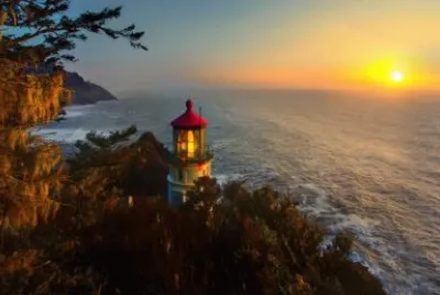 NATUREZA jigsaw puzzle