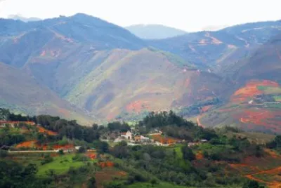 la cuchilla del ramo jigsaw puzzle