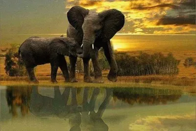 imagens jigsaw puzzle