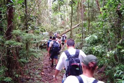 Trilha da Pirapitinga jigsaw puzzle