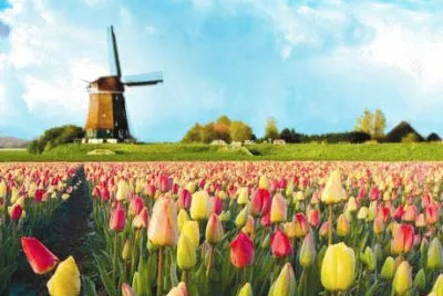 NATUREZA jigsaw puzzle