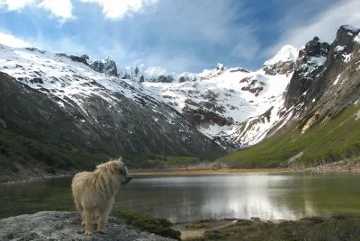 Laguna Esmeralda. Tierra del Fuego. Argentina