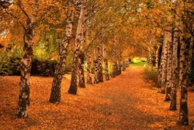 OtoÃ±o en Bariloche. RÃ­o Negro. Argentina
