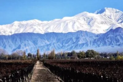 vineyards at the foot of the Andes jigsaw puzzle