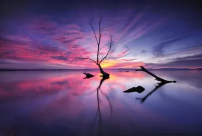 paesaggio jigsaw puzzle