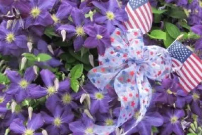 Purple Clematis and Flags jigsaw puzzle