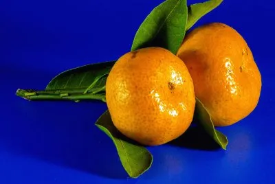 Mandarina-  CÃ­tricos.jpg jigsaw puzzle