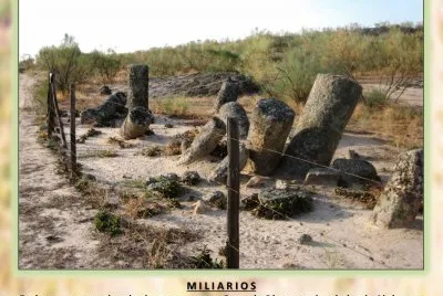 MILIARIOS jigsaw puzzle