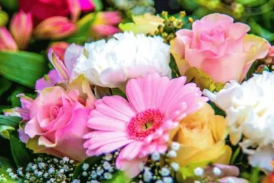 flowers jigsaw puzzle