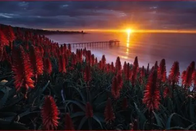 ROJO ATARDECER jigsaw puzzle