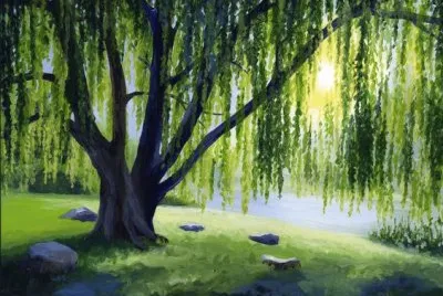 todo paisaje jigsaw puzzle