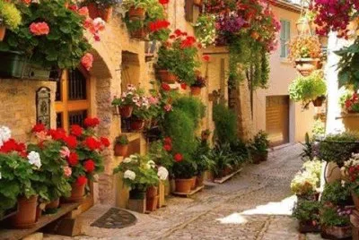 Valldemosa-Mallorca jigsaw puzzle