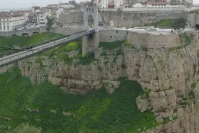 Bridge 11