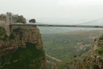 Bridge 7