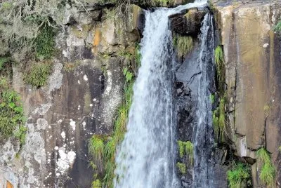 imagens jigsaw puzzle