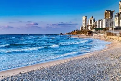  '×§×¨×©×“×’ jigsaw puzzle