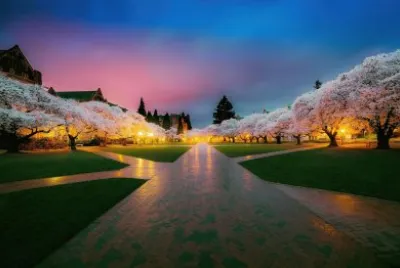 Aurora y Puesta de Sol jigsaw puzzle