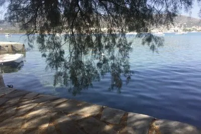 Horizonte 1 jigsaw puzzle