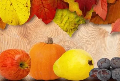 Hojas- Frutas.jpg jigsaw puzzle