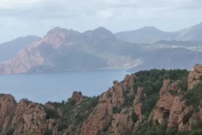 Corse love jigsaw puzzle