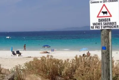 retour en Corse jigsaw puzzle