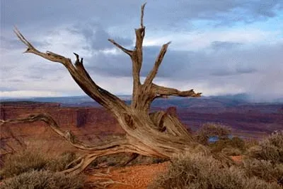 Dead Horse Point jigsaw puzzle