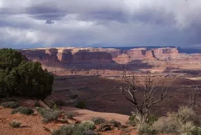 Dead horse jigsaw puzzle