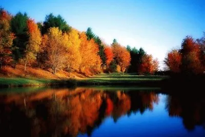 todo paisaje jigsaw puzzle