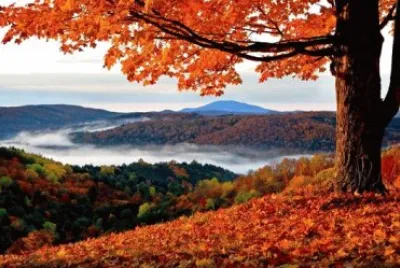 todo paisaje jigsaw puzzle