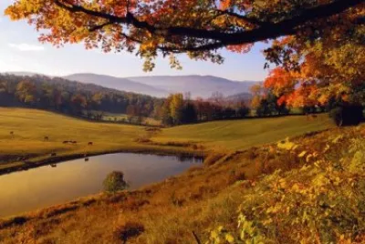 todo paisaje jigsaw puzzle