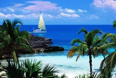 todo paisaje jigsaw puzzle