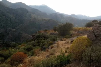 CRETE-1 jigsaw puzzle